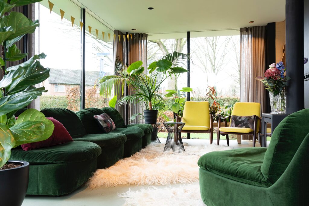 non toxic couches and sofas