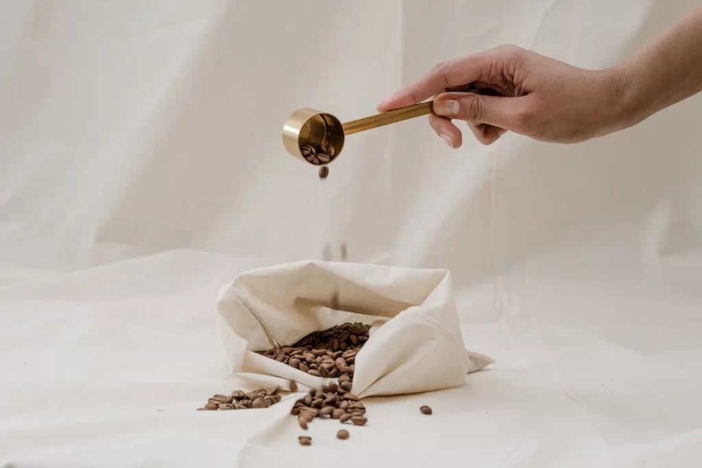 how to clean technivorm moccamaster 
