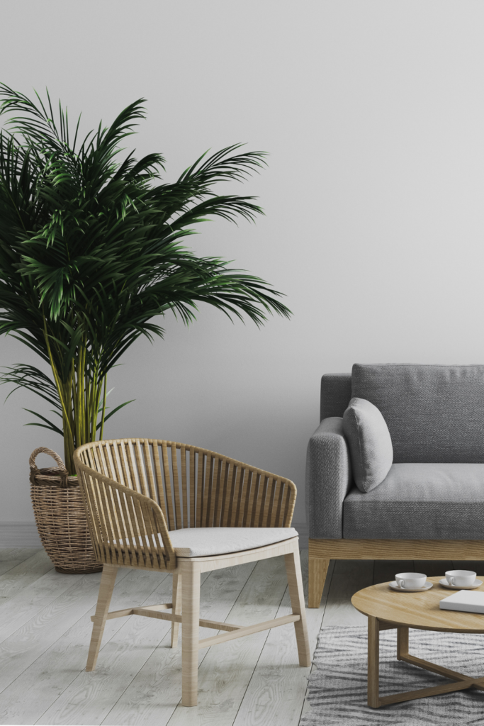 Rattan Planter
