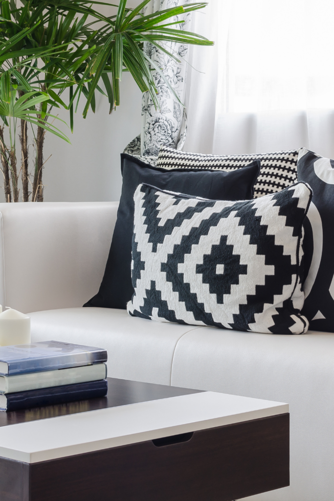 Black and White Throw Pillows