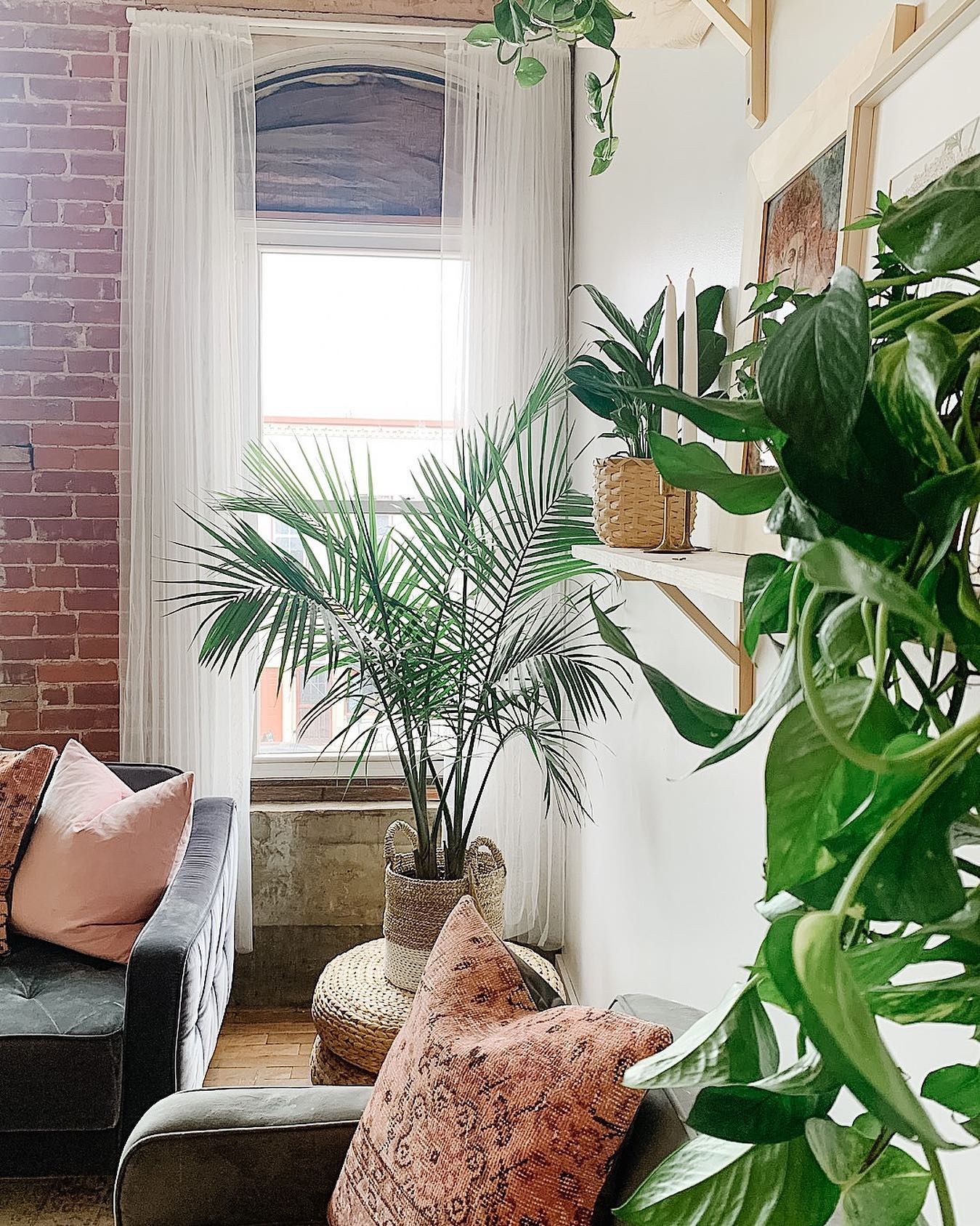 23 Budget-Friendly Apartment Living Room Ideas (2026)