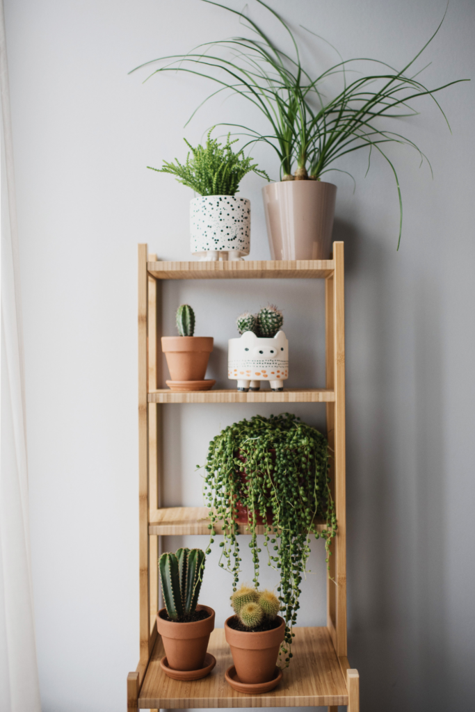 From Drab to Fab: Easy 17 DIY Dorm room Ideas 12 6