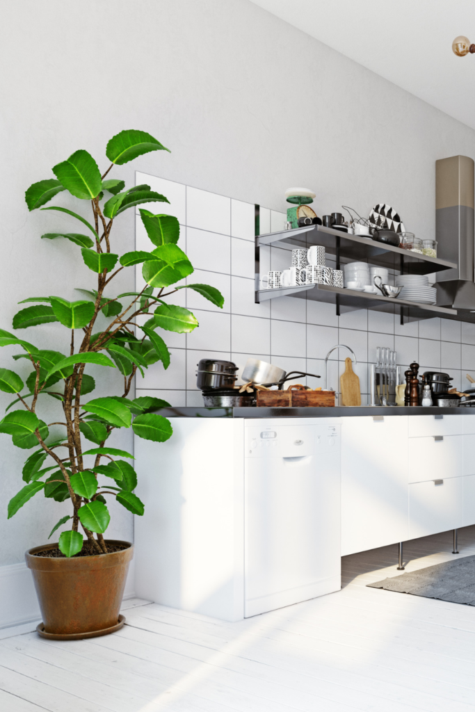 18 Scandinavian Kitchen Decor Ideas To Bring Nordic Charm to Your Home 13 Large Green Plant