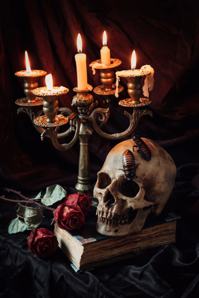 16 Halloween Decor Inspo That’s Scary Stylish 18 9 7